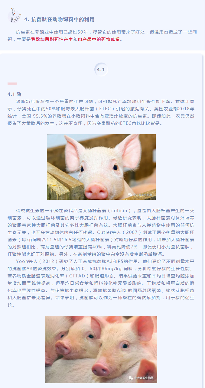 抗菌肽作為替抗飼料添加劑對動物生產、食品安全和公共衛生影響的綜述（下）_01