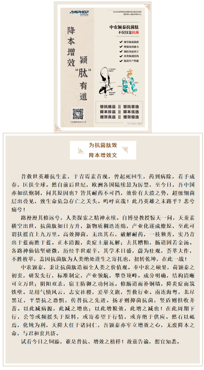 降本增效，穎“肽”有道——抗菌肽降低飼料營(yíng)養(yǎng)水平應(yīng)用方案_01